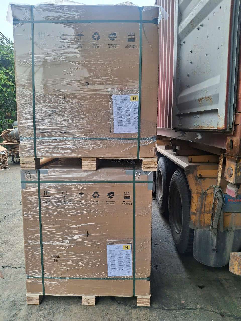 Tấm Pin Longi 645W