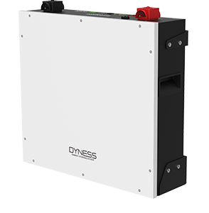 Battery Lưu Trữ Điện Dyness DL5.0C