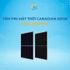 TAM-PIN-CANADIAN-620W-2MK